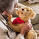 Illustration for article titled Your Lonely Grandparents Can Now Get a Robot Retriever To Keep Them Company